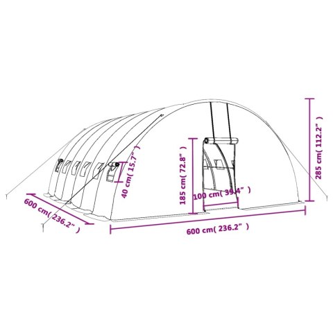  Szklarnia ze stalową ramą, zielona, 36 m², 6x6x2,85 m