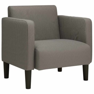  Sofa Fotel z Podłokietnikami Jasnoszary 54 cm Tkanina Kordowa