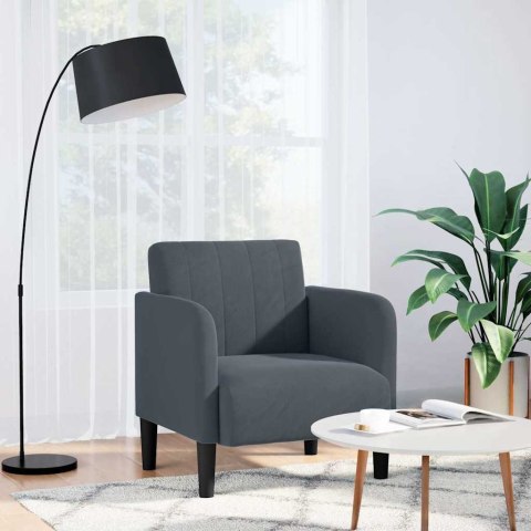  Sofa Fotel z Podłokietnikami Ciemnoszary 54 cm Aksamit